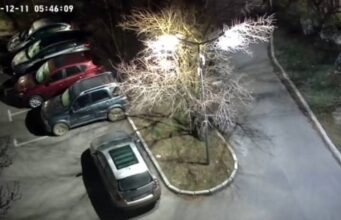 Възмутителен акт в Радомир: Коледната елха е открадната – извършителят установен